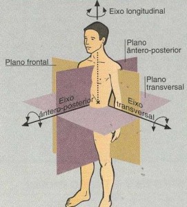 Planos e eixos de movimento