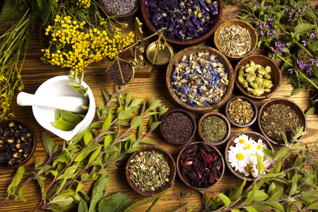 suplementacao-com-plantas-medicinais
